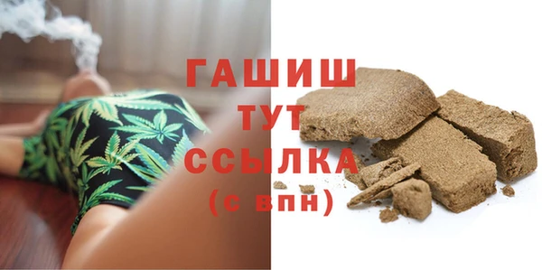 гашик Пересвет